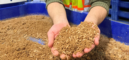 A hand holding insect feed